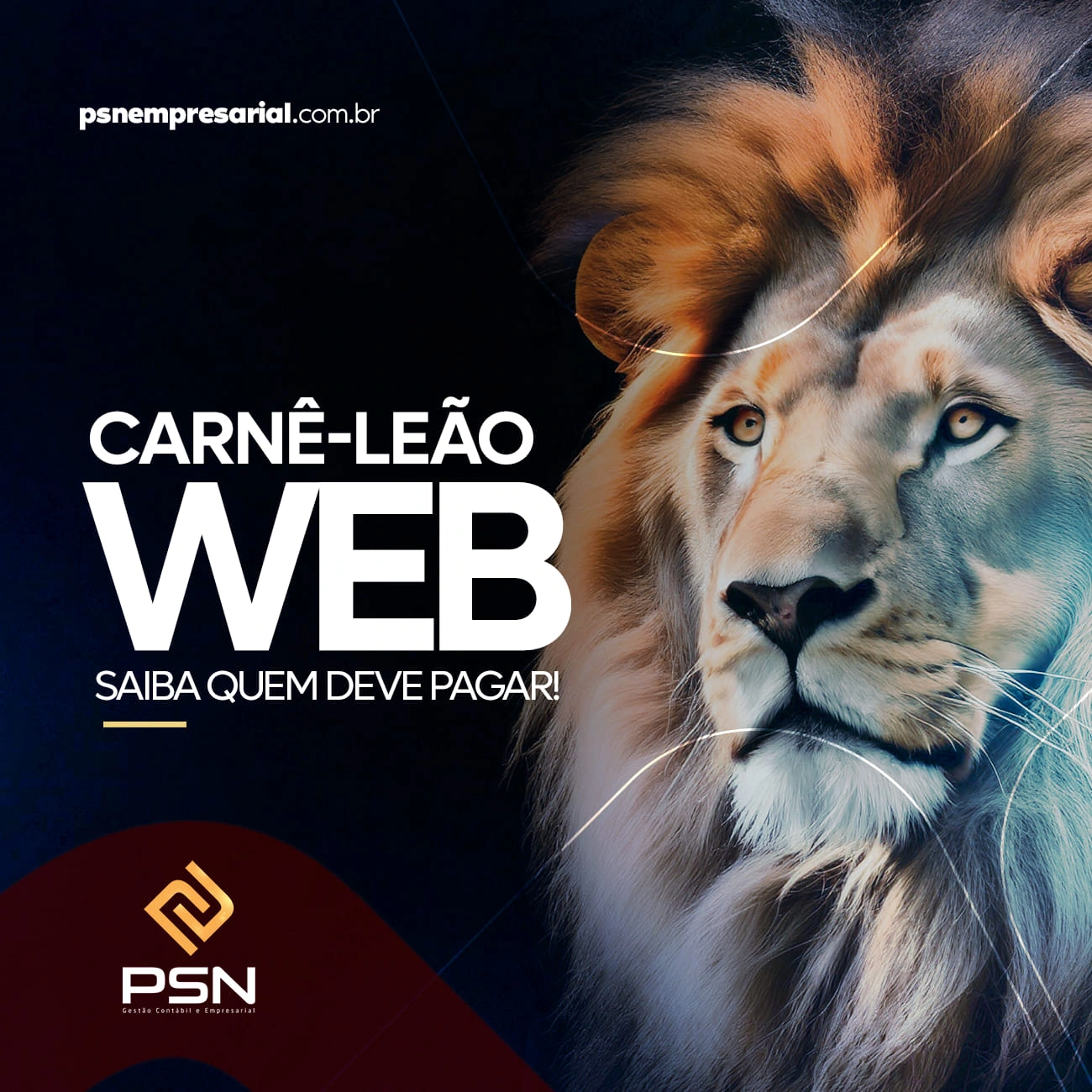 Carnê-leão web
